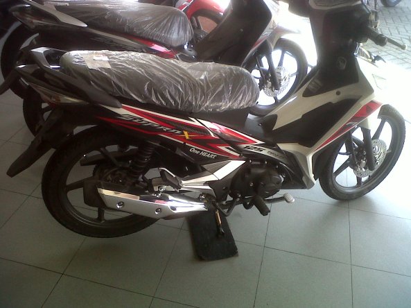 IMG01563-20140516-0817