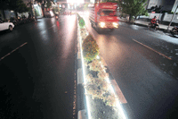 kayak gini nih taman median yang sudah jadi