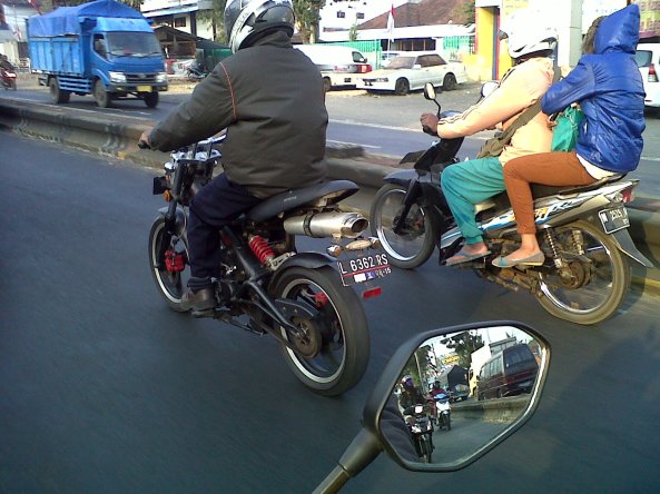 IMG01794-20140901-1626