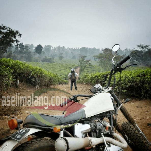 foto : koleksi pribadi Rony