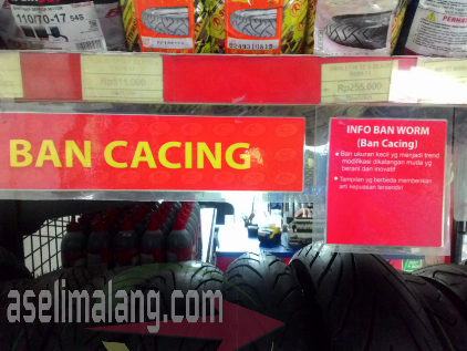 ban-cacing
