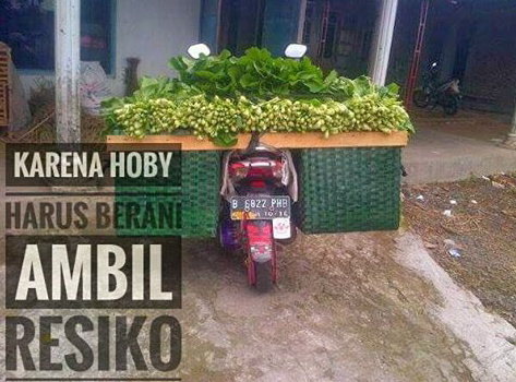 pict : hellaflush r2 Indonesia