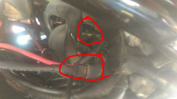 credit : Yuda Hosticus