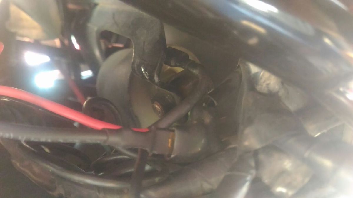 credit : Yuda Hosticus