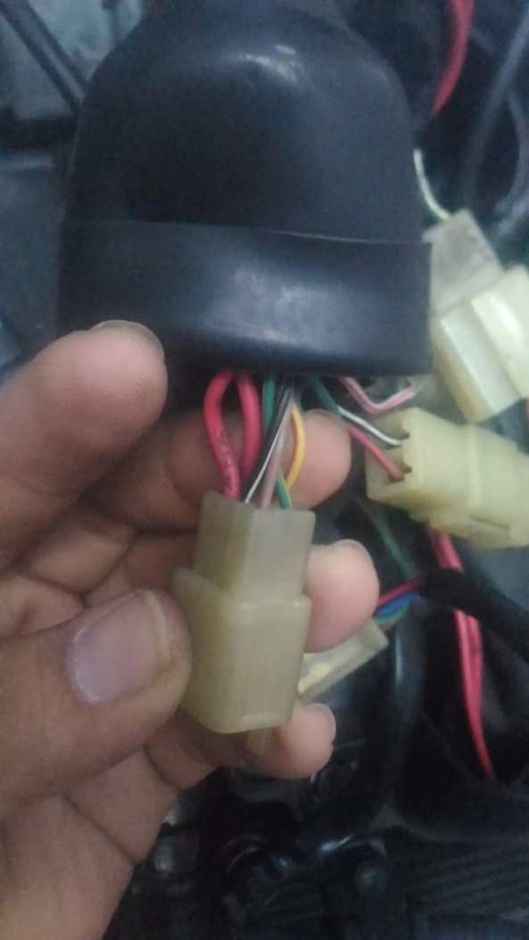 skun OCB, credit : yuda hosticus